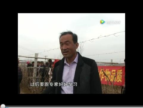 萬納萊西電視臺