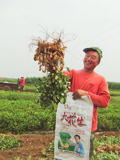 萬納田老漢大花生萊陽